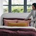 Parachute breaks new ground with designer to the stars
