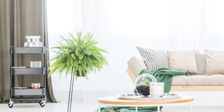 Turkish towel industry goes global
